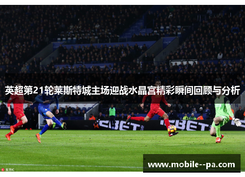 英超第21轮莱斯特城主场迎战水晶宫精彩瞬间回顾与分析