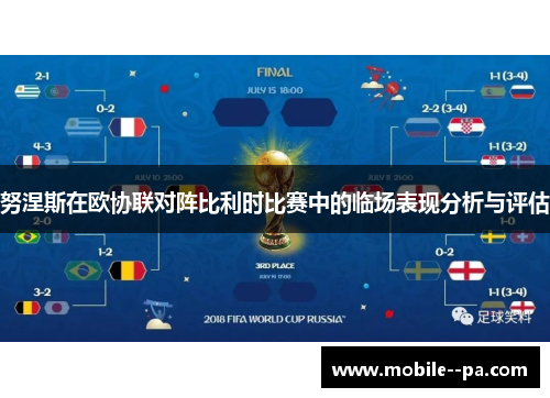 努涅斯在欧协联对阵比利时比赛中的临场表现分析与评估