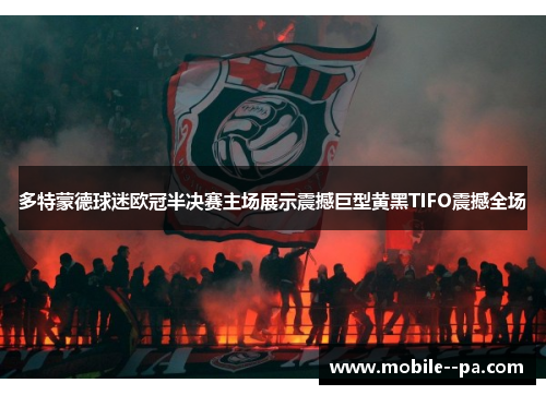 多特蒙德球迷欧冠半决赛主场展示震撼巨型黄黑TIFO震撼全场 多特蒙德球迷欧冠半决赛主场展示震撼巨型黄黑TIFO震撼全场