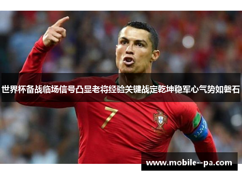 世界杯备战临场信号凸显老将经验关键战定乾坤稳军心气势如磐石