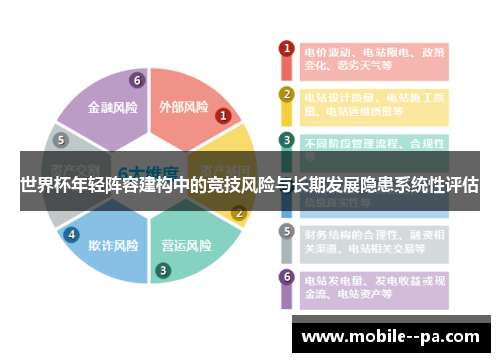 世界杯年轻阵容建构中的竞技风险与长期发展隐患系统性评估 世界杯年轻阵容建构中的竞技风险与长期发展隐患系统性评估