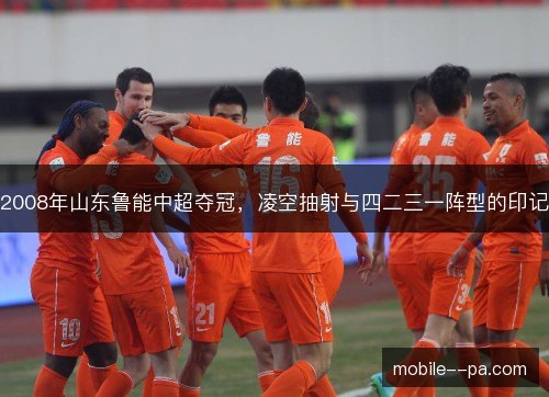 2008年山东鲁能中超夺冠,凌空抽射与四二三一阵型的印记 2008年山东鲁能中超夺冠,凌空抽射与四二三一阵型的印记